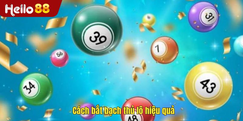 Cách bắt bạch thủ lô hiệu quả