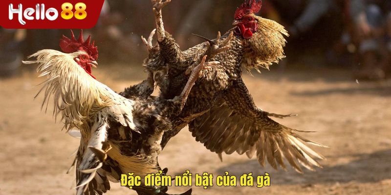 Đặc điểm nổi bật của sảnh game Hello88