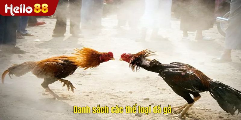 Danh sách các thể loại đá gà