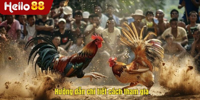 Hướng dẫn chi tiết cách tham gia