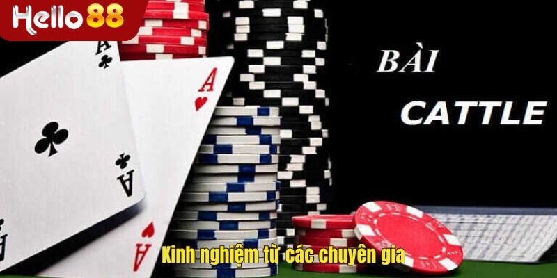 Kinh nghiệm từ các chuyên gia