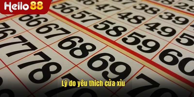 Lý do yêu thích cửa xỉu