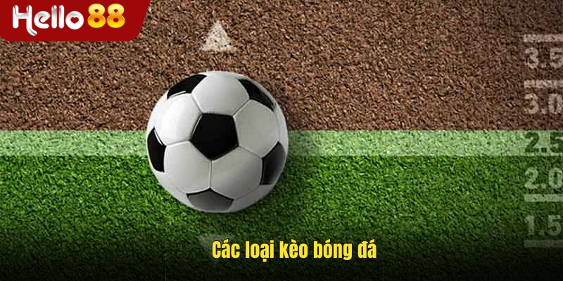 Thông tin các loại kèo bóng đá