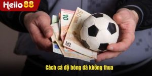 Hướng Dẫn Cách Cá Độ Bóng Đá Không Thua Hợp Lý Tại Hello88
