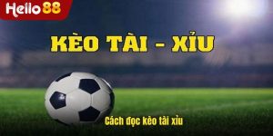 Cách Đọc Kèo Tài Xỉu - Bí Quyết Dẫn Tới Thành Công