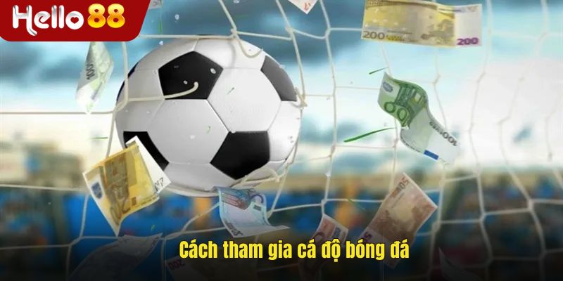Hướng dẫn tham gia cá độ bóng đá
