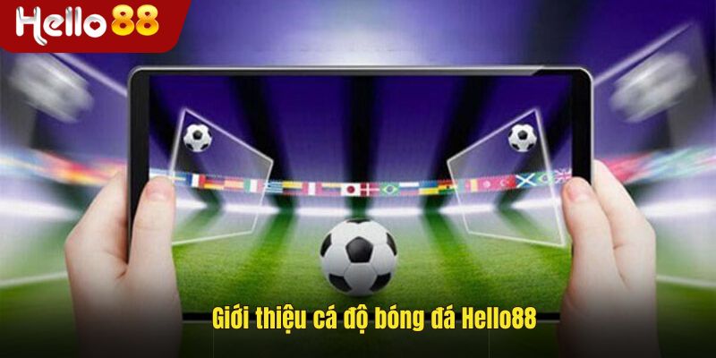 Tổng quan cá độ bóng đá Hello88